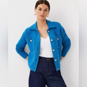 Ann Taylor Santorini utility sweater size L royal blue